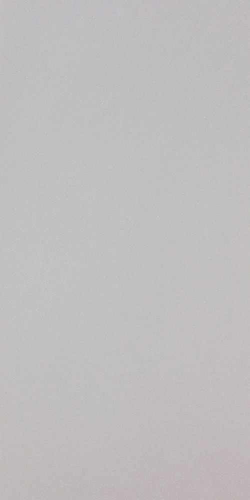 GRIS polished 6x3 tile